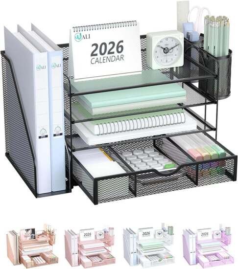 
WALI Desk File Organizer