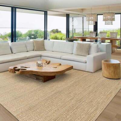 Coastal living room with an indoor olive tree in a woven basket beside neutral furniture.